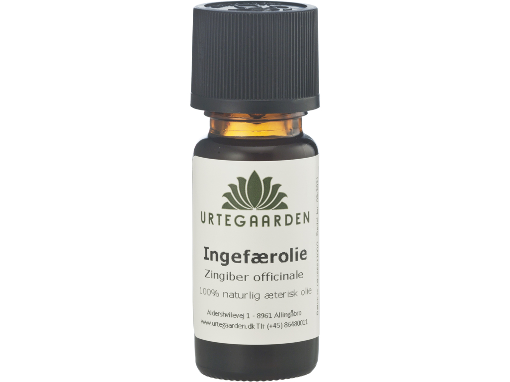 Ingefærolie