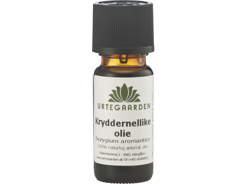 Kryddernellikeolie