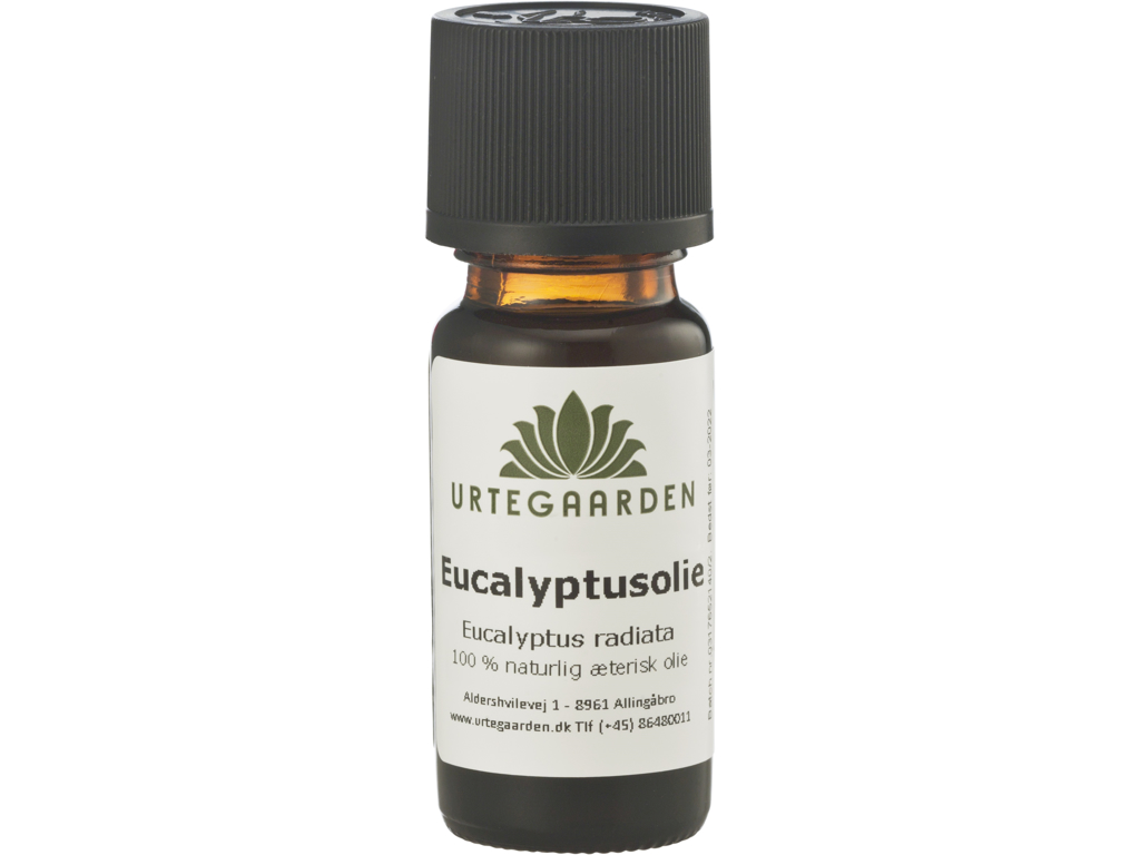Eucalyptusolie