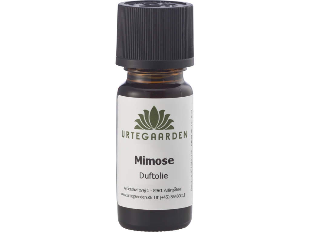 Mimose duftolie