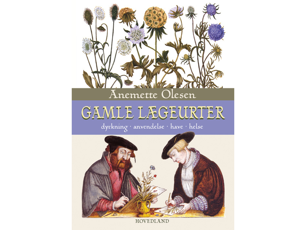 Gamle lægeurter 1 stk