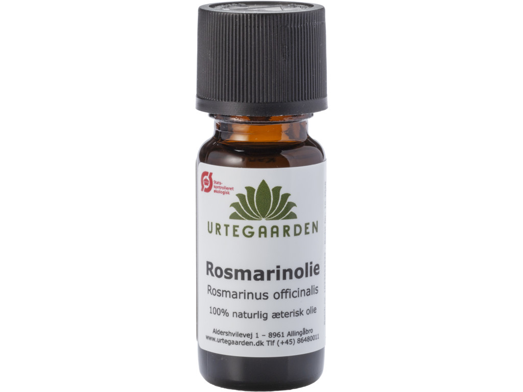 Rosmarinolie ØKO