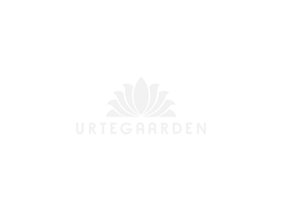 Gardenia duftolie