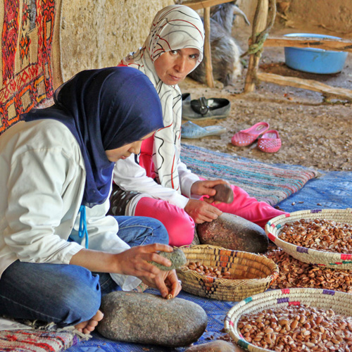 Marokkanske kvinder arbejder med at knække de høstede argannødder, så de bliver klar til at olien kan koldpresses fra kernerne